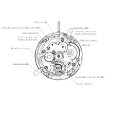 Charger l'image dans la galerie, Seiko (SII) NE15 Automatic Movement