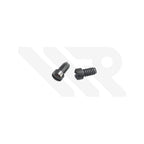 Replacement Crown Guard Screw for Panerai PAM01441