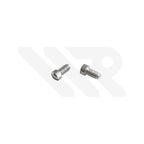 Replacement Crown Guard Screw for Panerai PAM01441