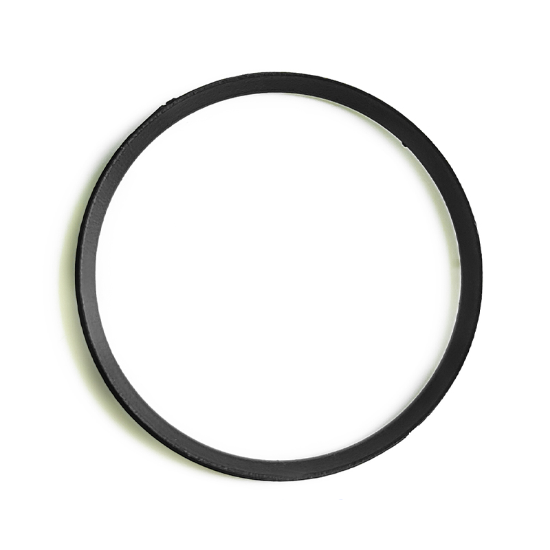 Casio MDV106-1A Chapter Ring
