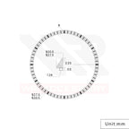 Seiko Mod SKX / SRPD Chapter Ring: Metallic White With Black Numeric Markers