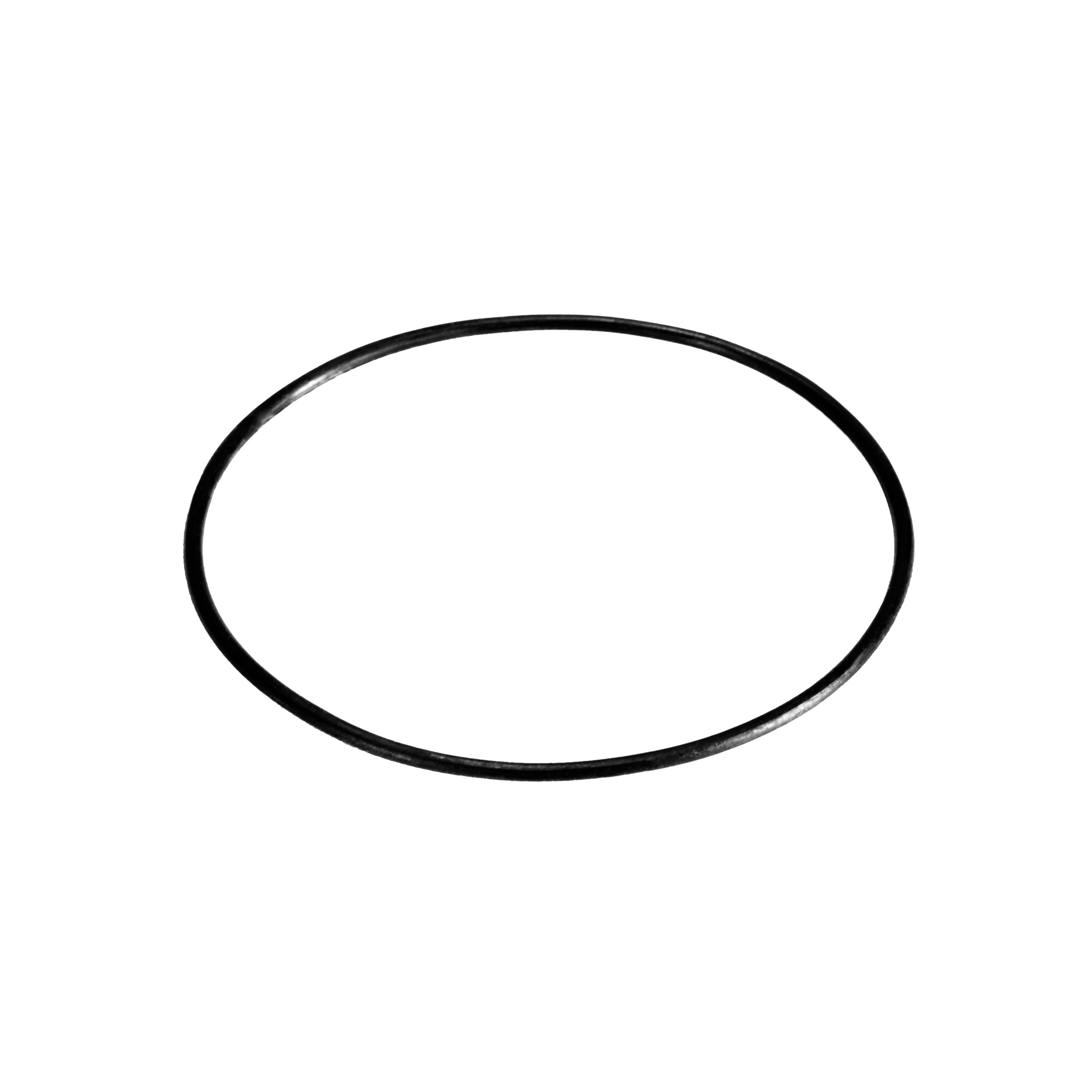 Caseback Gasket for Seiko SKX007