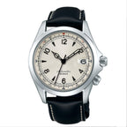Alpinist Watch Hands for Seiko Mod: Black
